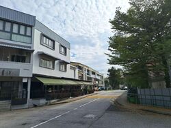 Binjai Park (D21), Apartment #560340941